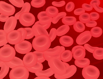 赤血球数