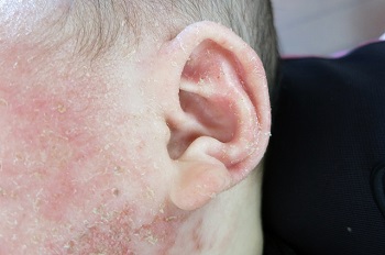 耳の聴覚器の機能のほかに平衡器の役割